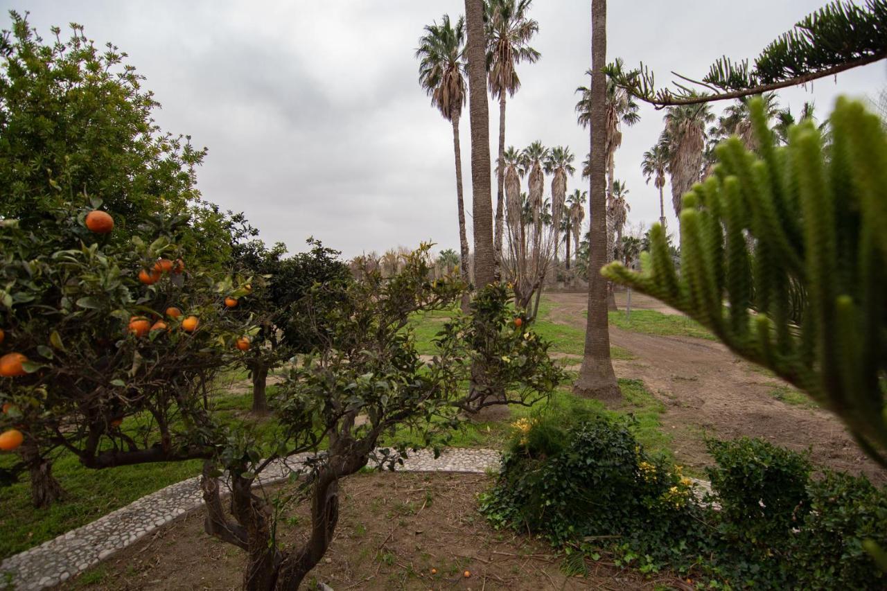 Villa Del Riu ديلتيبري المظهر الخارجي الصورة